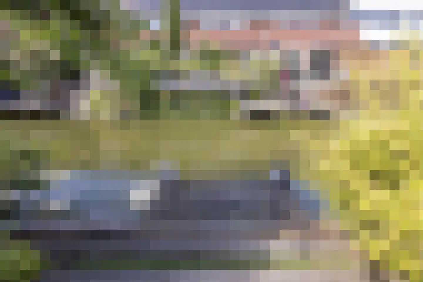 Meierijlaan 56 Den Haag thumbnail 45