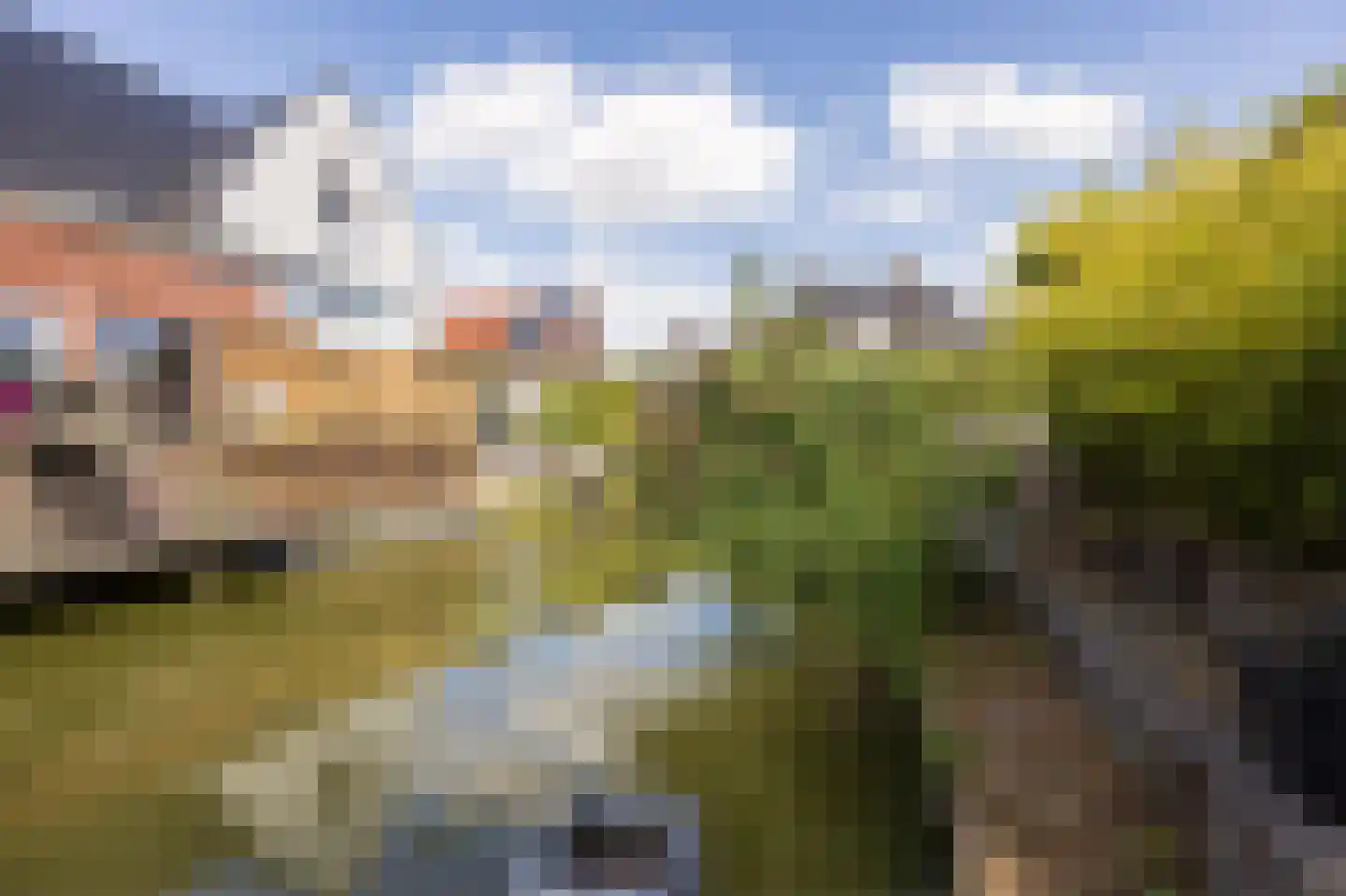 Meierijlaan 56 Den Haag thumbnail 47