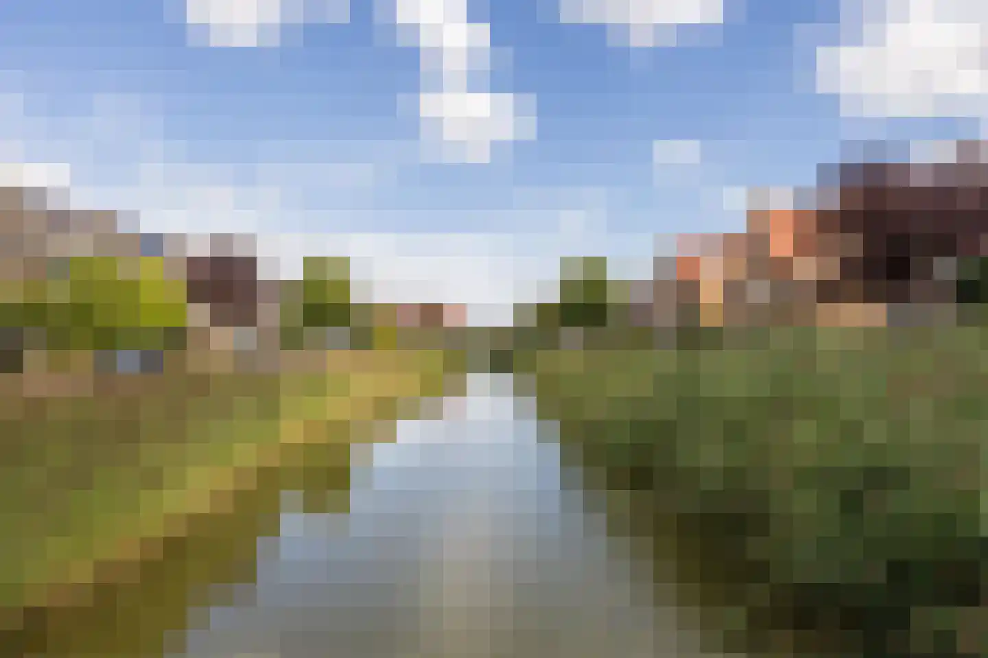Meierijlaan 56 Den Haag thumbnail 50