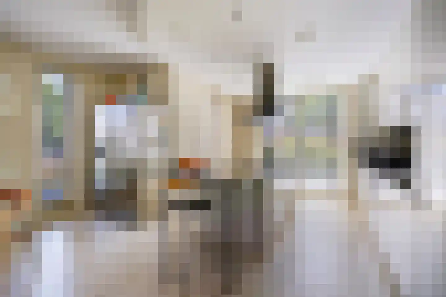Meierijlaan 58 Den Haag thumbnail 20