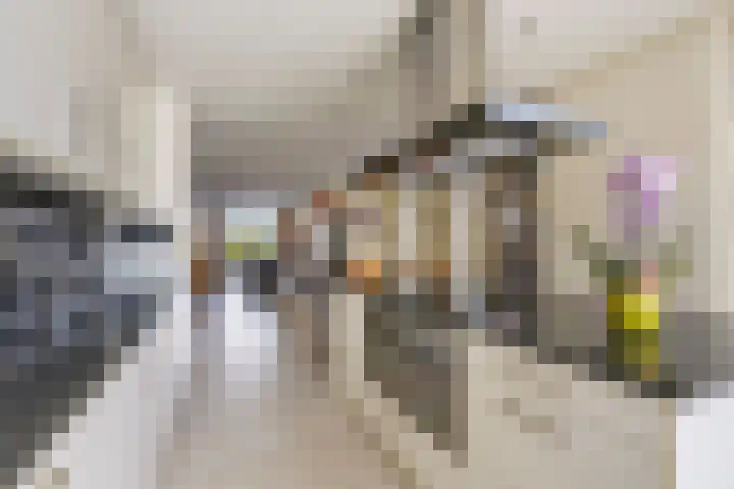 Meierijlaan 58 Den Haag thumbnail 22