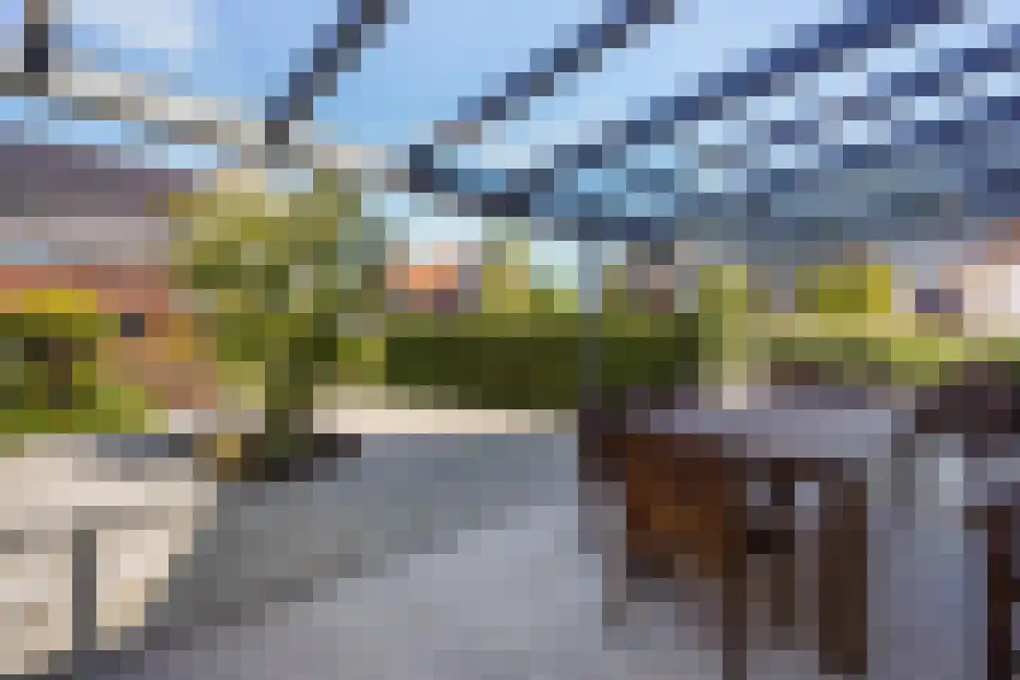 Meierijlaan 58 Den Haag thumbnail 26
