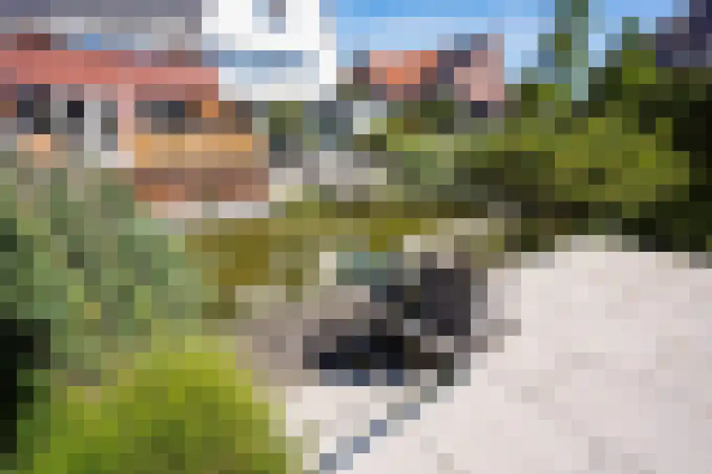 Meierijlaan 58 Den Haag thumbnail 28