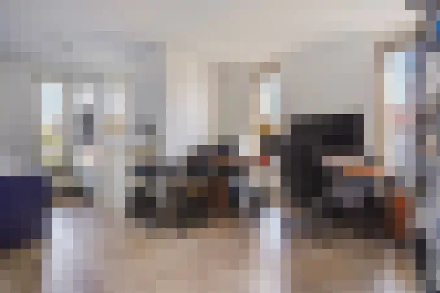 Meierijlaan 58 Den Haag thumbnail 42