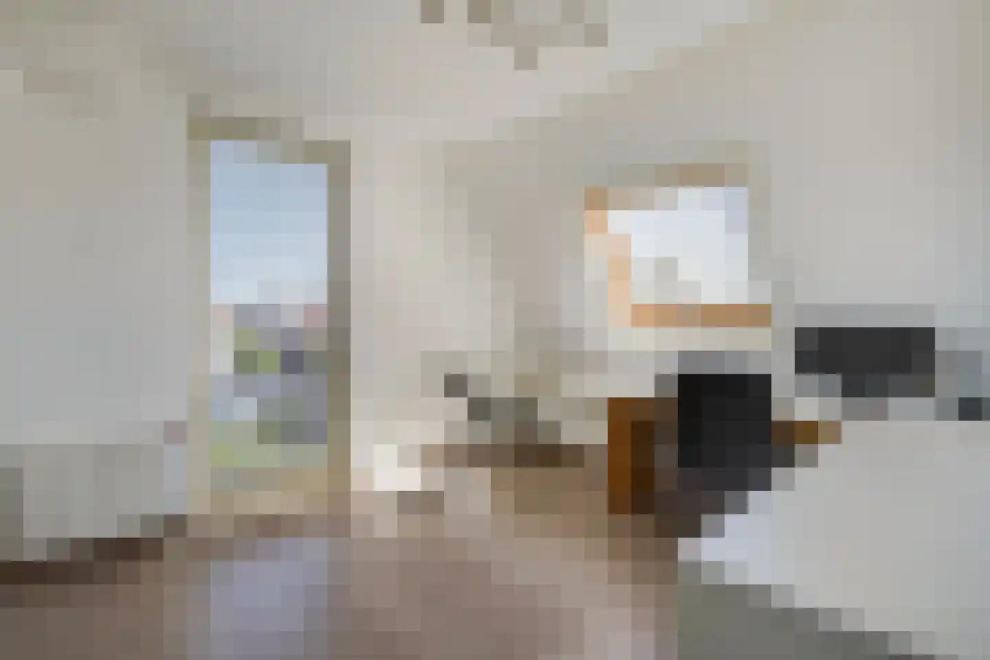Meierijlaan 58 Den Haag thumbnail 50