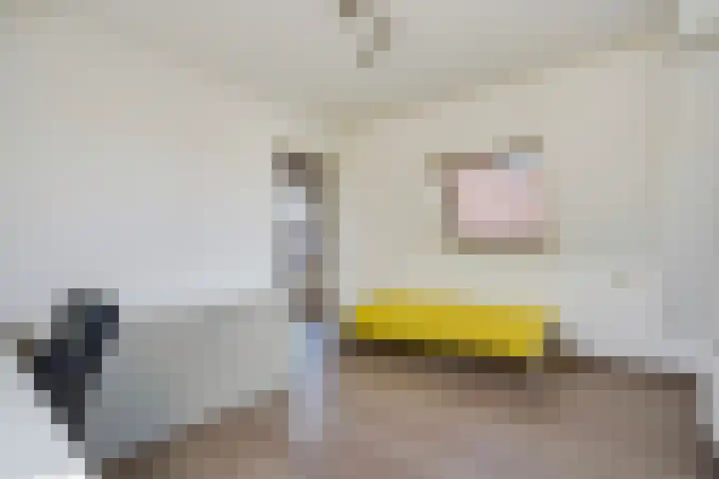 Meierijlaan 58 Den Haag thumbnail 51