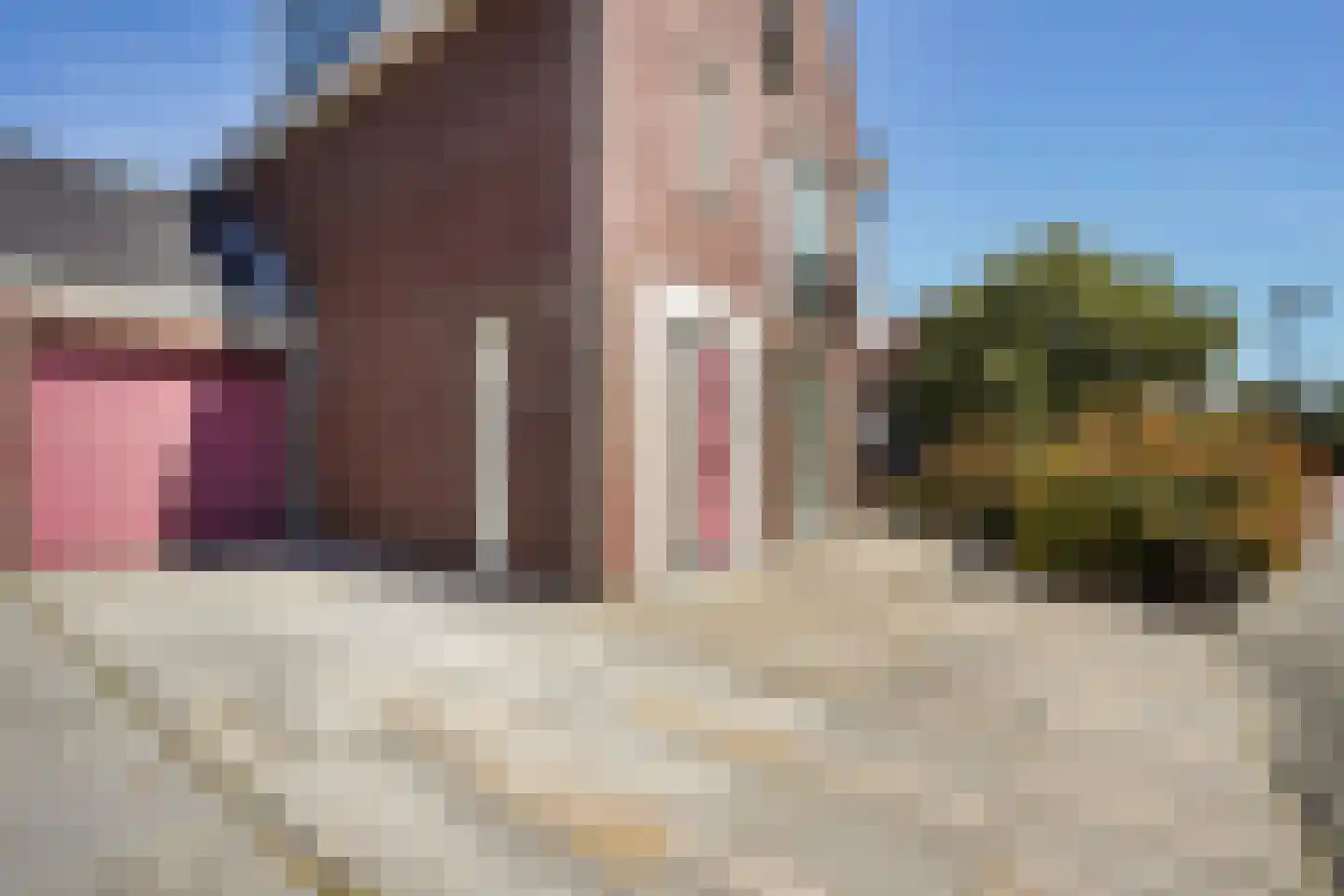 Meierijlaan 58 Den Haag thumbnail 7