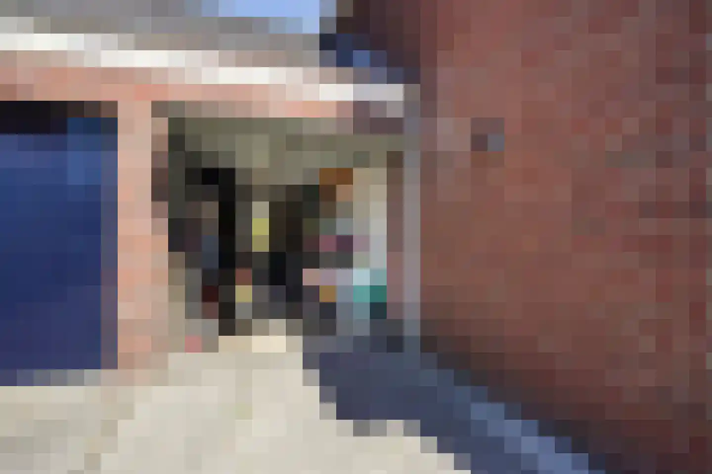 Meierijlaan 58 Den Haag thumbnail 8