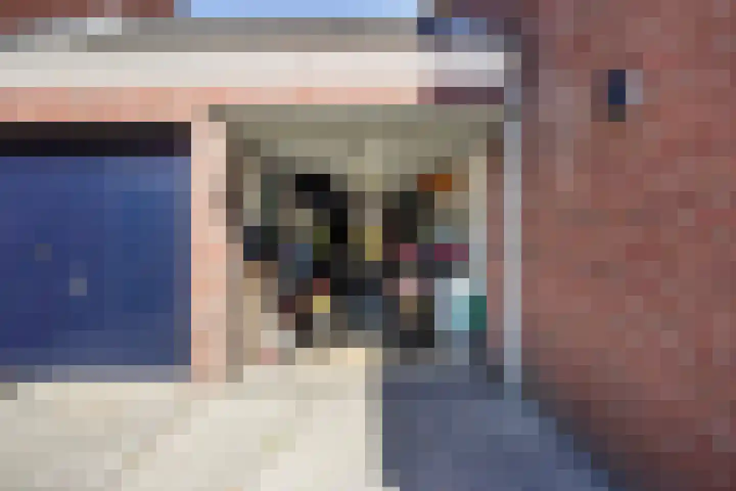 Meierijlaan 58 Den Haag thumbnail 9
