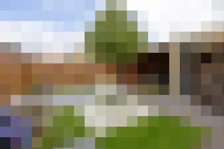 Meierijsingel 20 Vught thumbnail 27