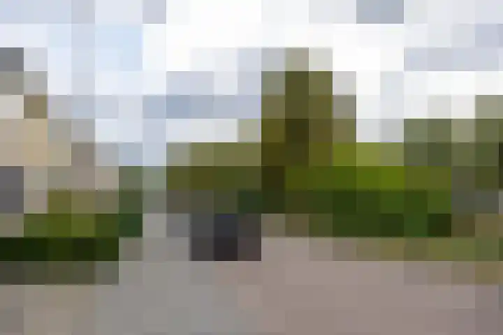 Meierijsingel 20 Vught thumbnail 31