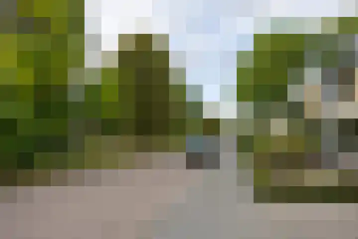 Meierijsingel 20 Vught thumbnail 32