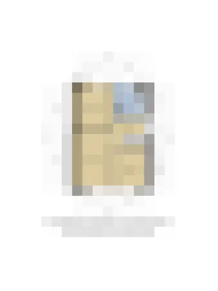 Meierijsingel 20 Vught thumbnail 35