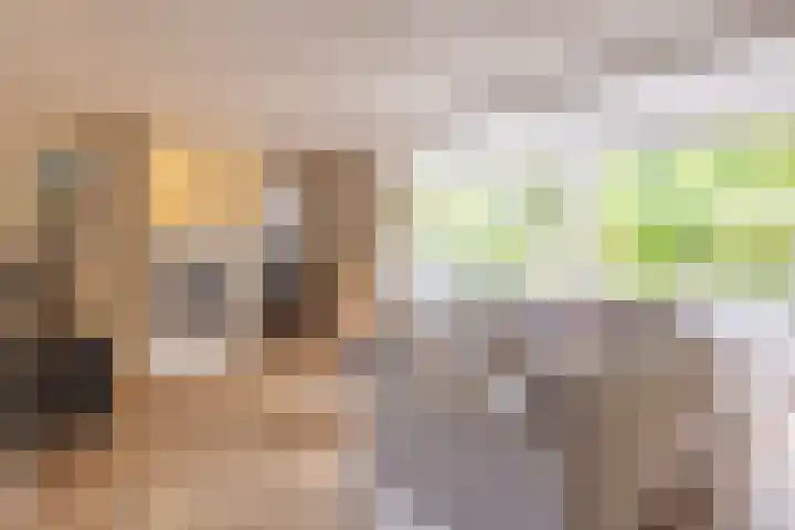Meierijsingel 20 Vught thumbnail 7