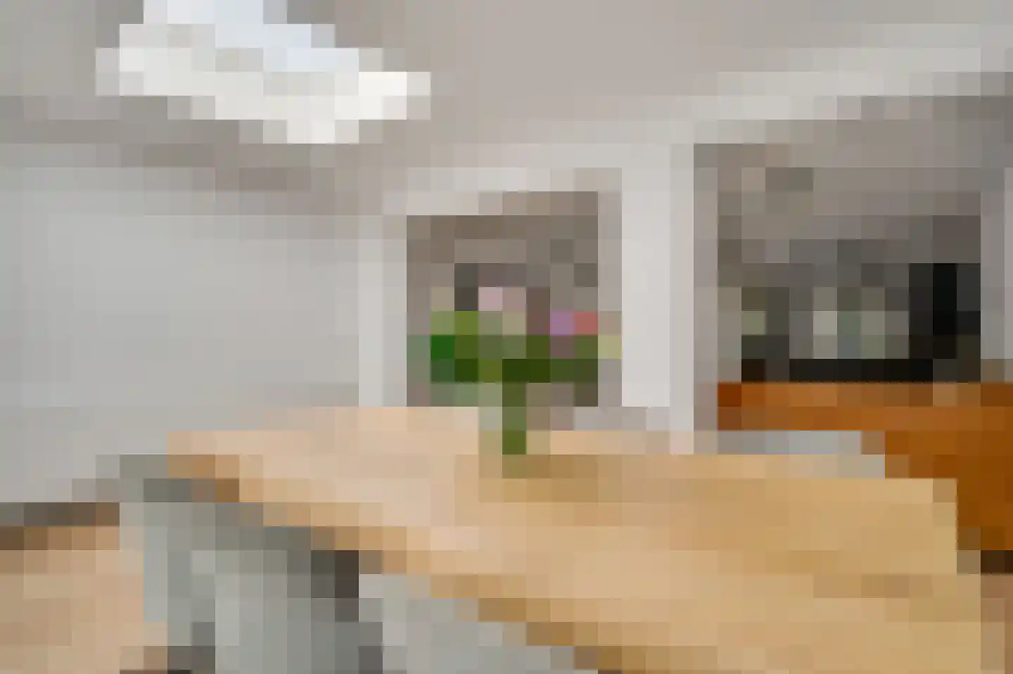 Meierijstraat 4 Weert thumbnail 21