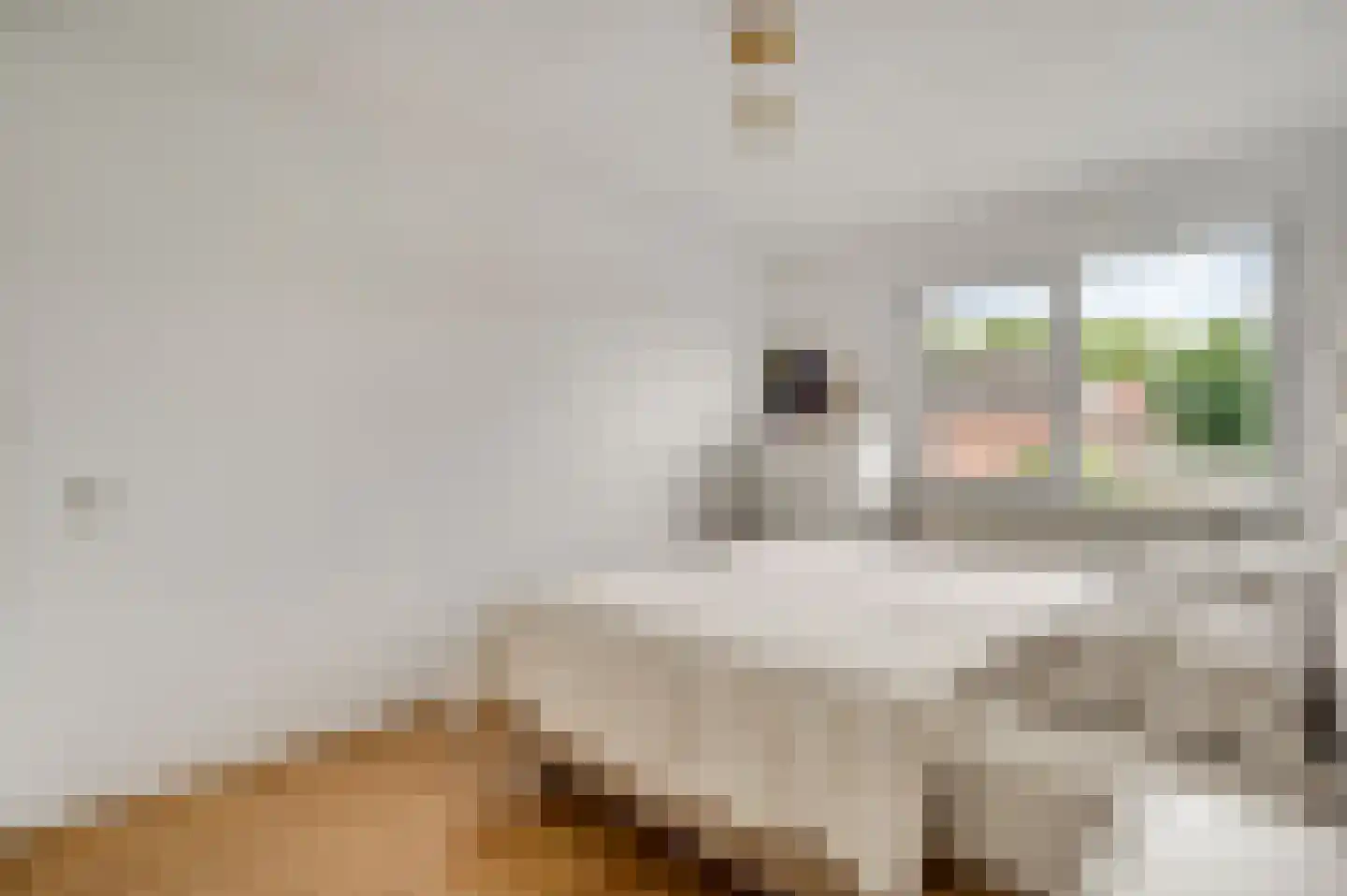 Meierijstraat 4 Weert thumbnail 23