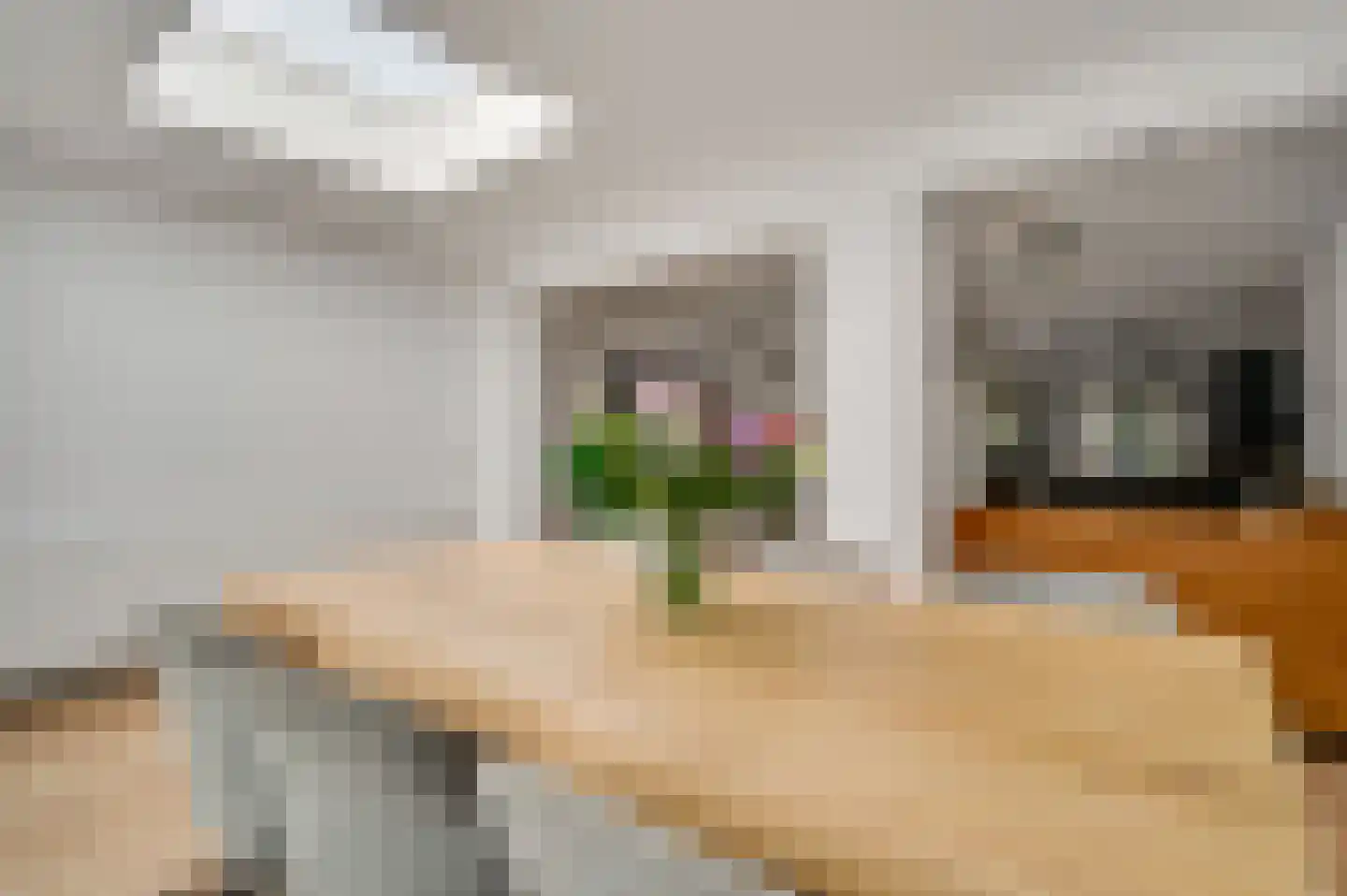 Meierijstraat 4 Weert thumbnail 4