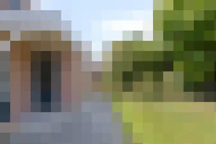 Meierijstraat 5 Baarle-Nassau thumbnail 32