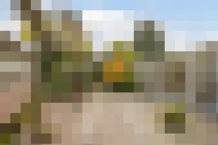 Meierstraat 1 Gilze thumbnail 30