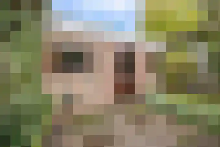 Meierstraat 1 Gilze thumbnail 31