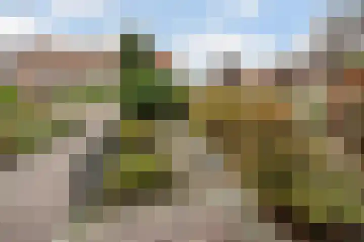 Meierstraat 1 Gilze thumbnail 32