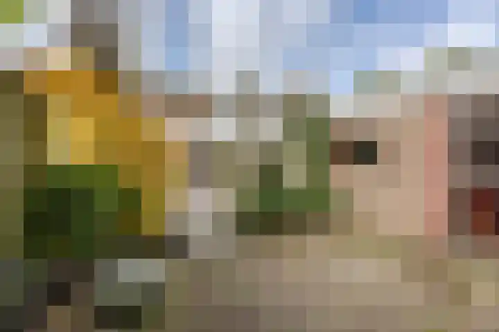 Meierstraat 1 Gilze thumbnail 33