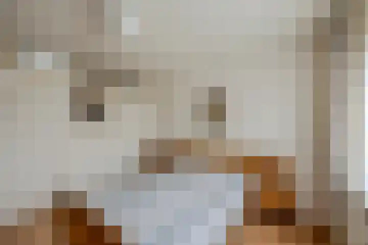 Meierstraat 1 Gilze thumbnail 37
