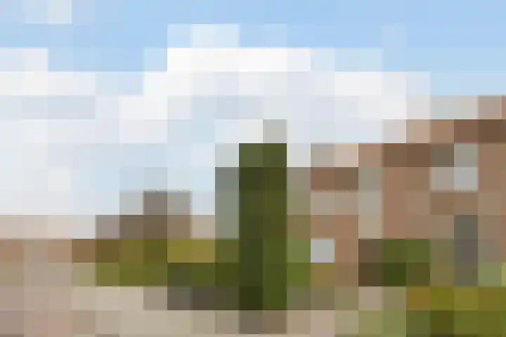 Meierstraat 1 Gilze thumbnail 53