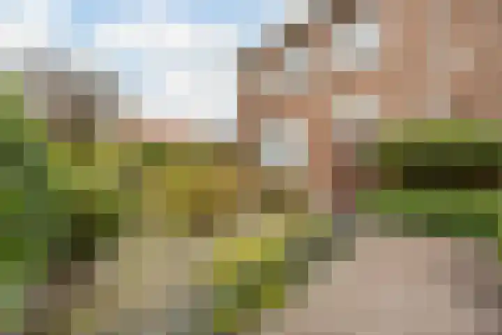 Meierstraat 1 Gilze thumbnail 6