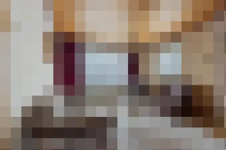Meierstraat 1 Gilze thumbnail 9