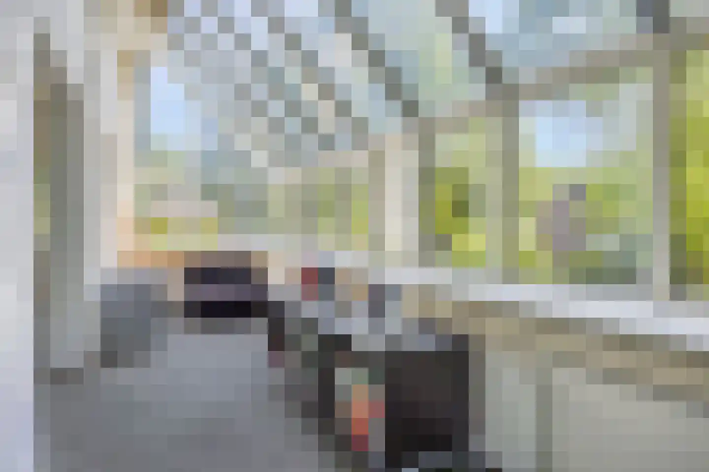 Meijboomlaan 2 Wassenaar thumbnail 17