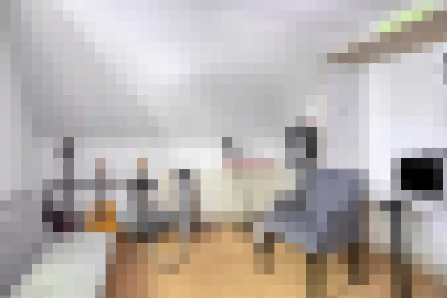 Meijboomlaan 2 Wassenaar thumbnail 24