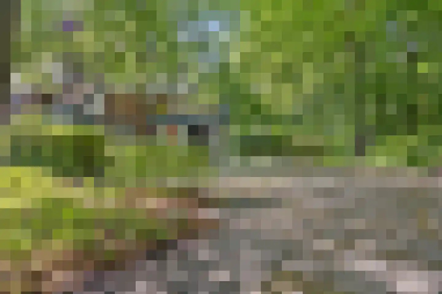 Meijboomlaan 2 Wassenaar thumbnail 33