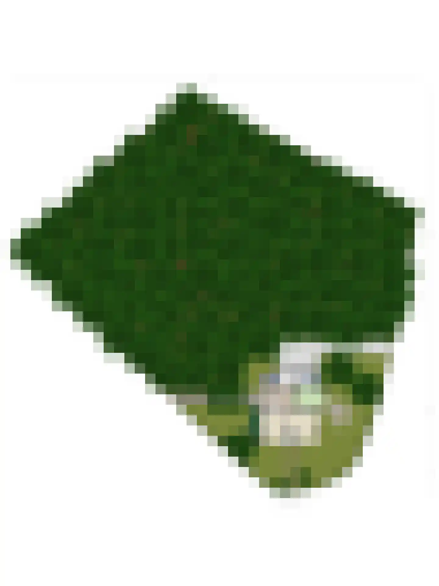 Meijboomlaan 2 Wassenaar thumbnail 43