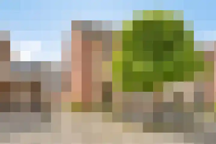 Meijboomstraat 11 Ootmarsum thumbnail 25