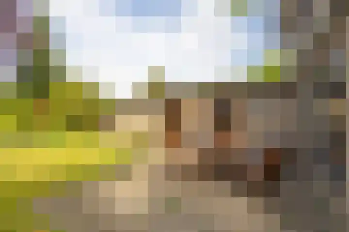 Meijbreestraat 155 Oldenzaal thumbnail 36