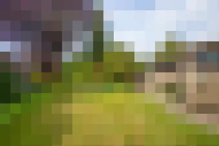 Meijbreestraat 155 Oldenzaal thumbnail 37