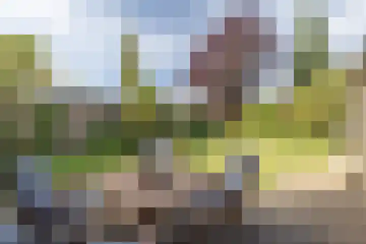 Meijbreestraat 155 Oldenzaal thumbnail 38