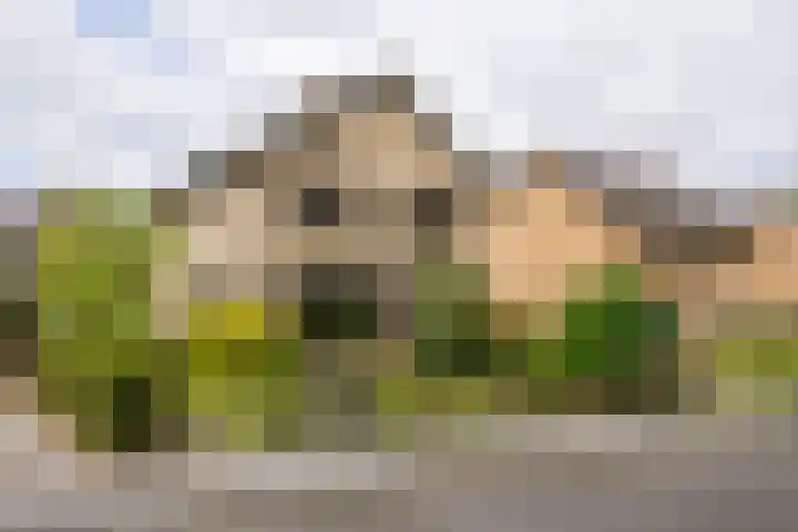 Meijbreestraat 155 Oldenzaal thumbnail 39