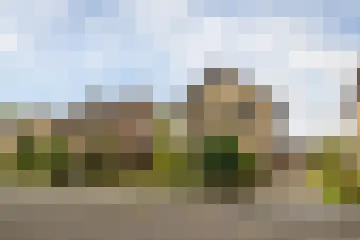 Meijbreestraat 155 Oldenzaal thumbnail 41