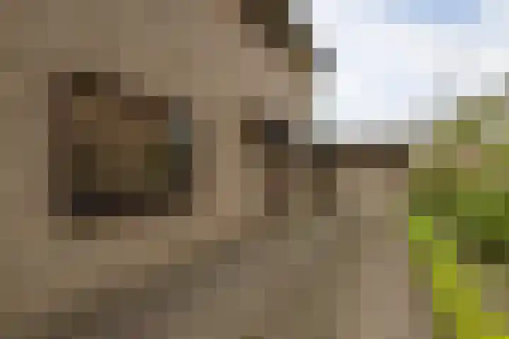 Meijbreestraat 155 Oldenzaal thumbnail 6
