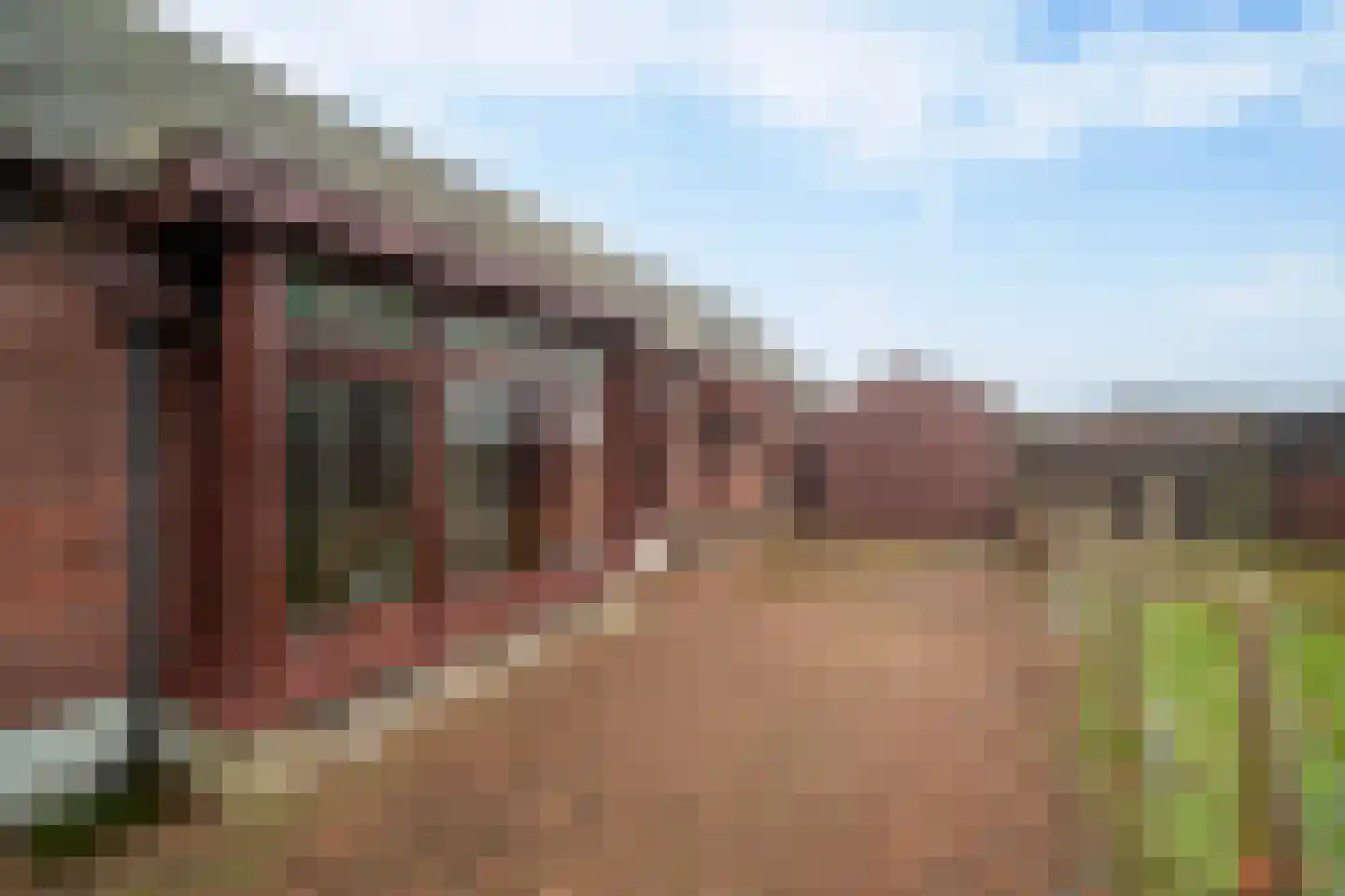 Meije 125 Bodegraven thumbnail 11