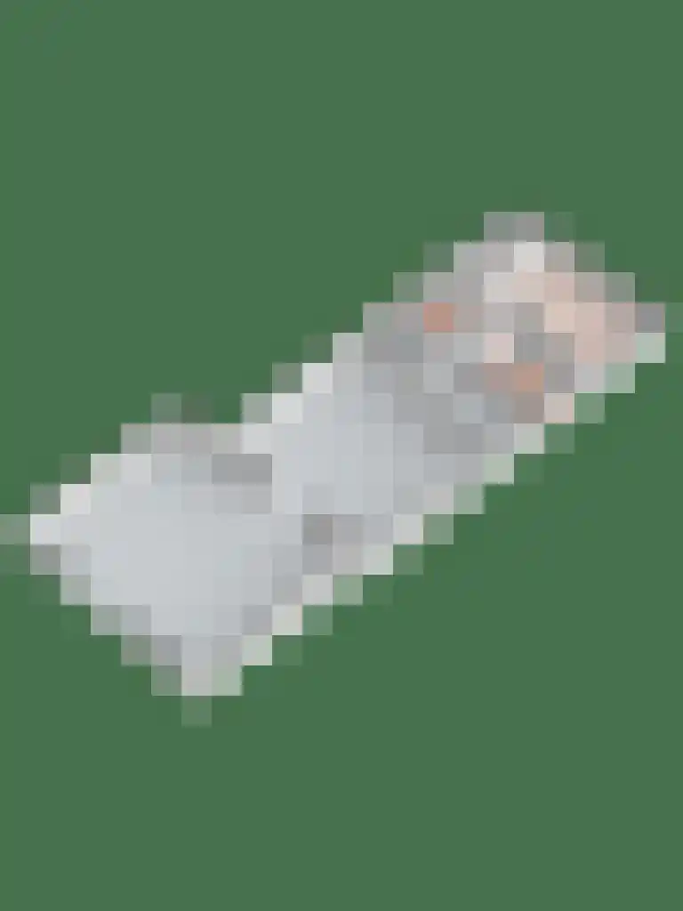 Meije 125 Bodegraven thumbnail 17