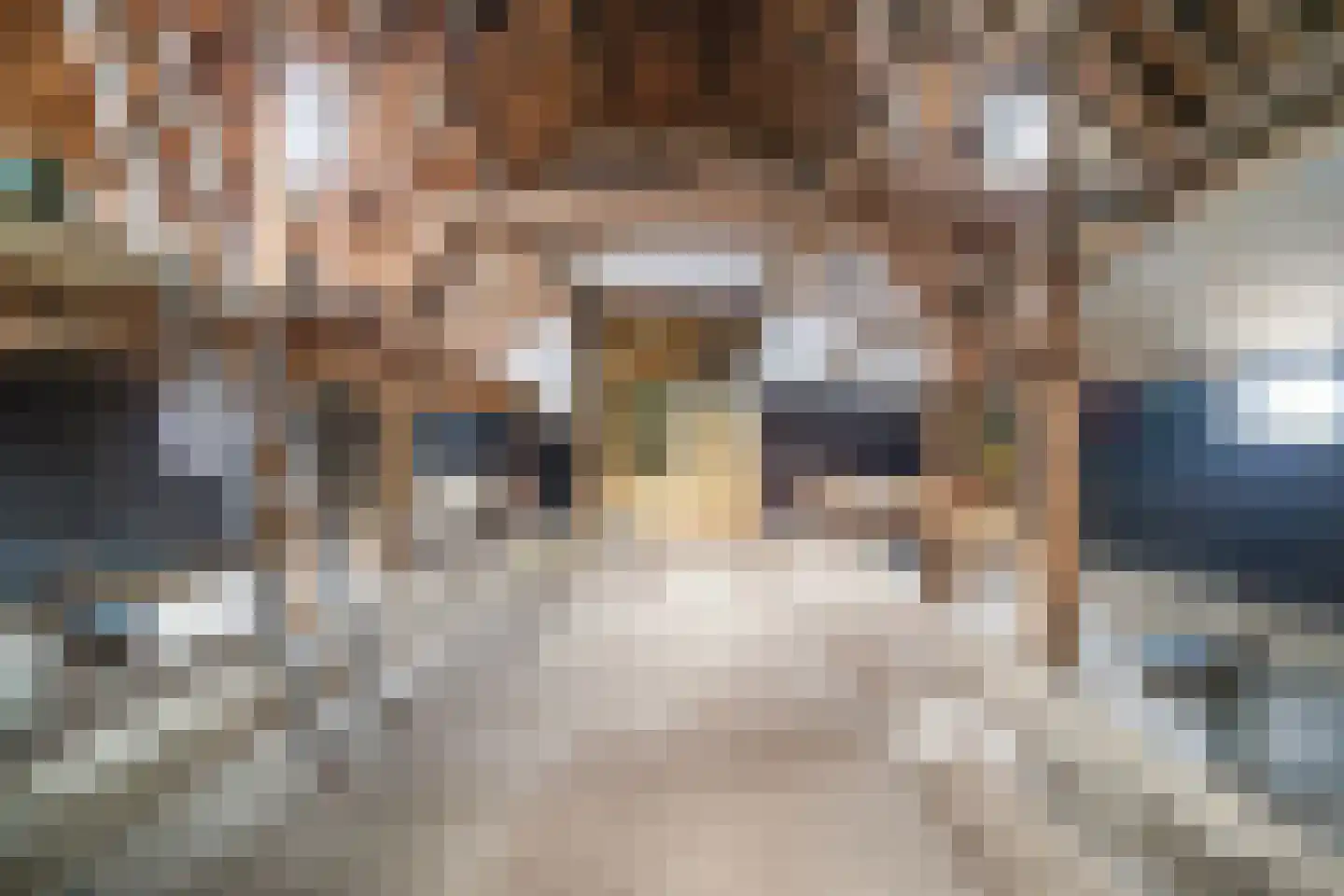 Meije 125 Bodegraven thumbnail 6