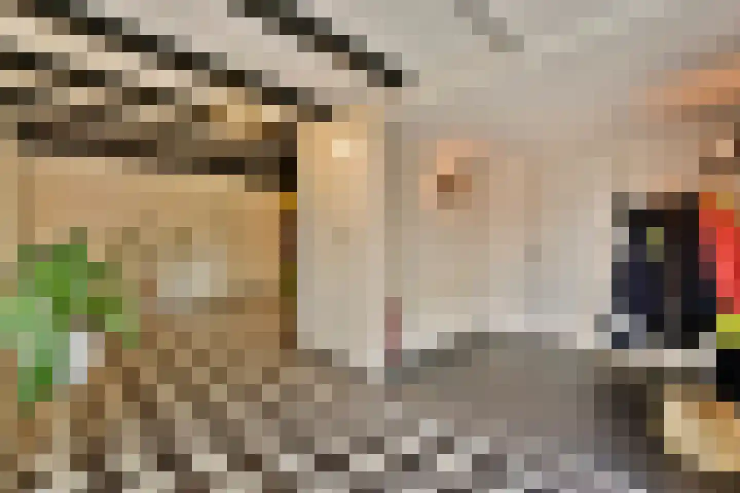 Meije 126 Bodegraven thumbnail 10