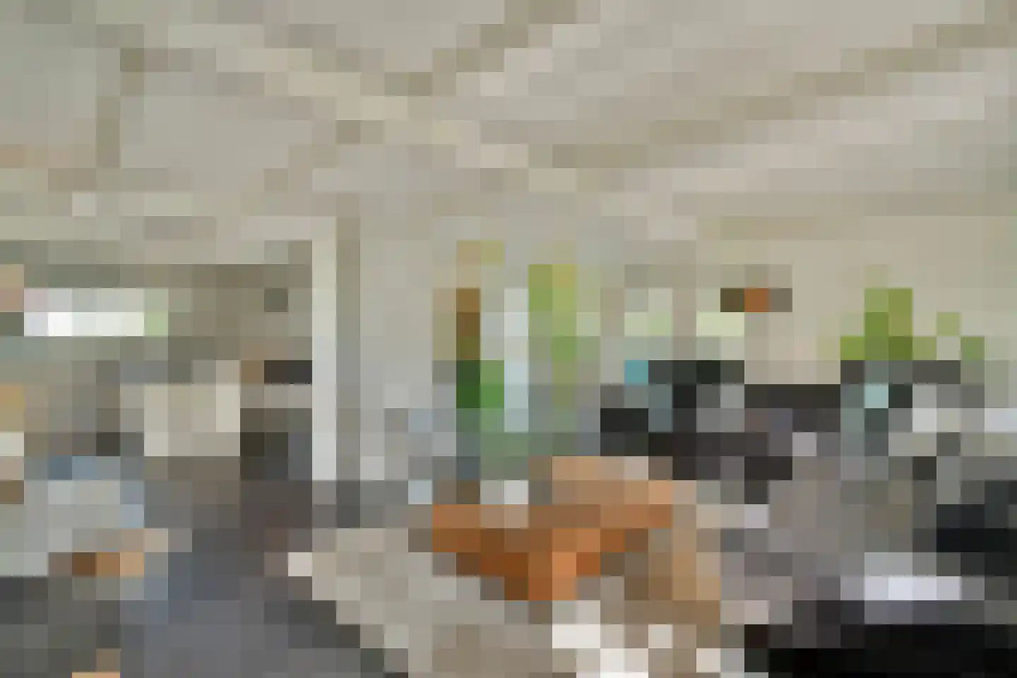 Meije 126 Bodegraven thumbnail 15