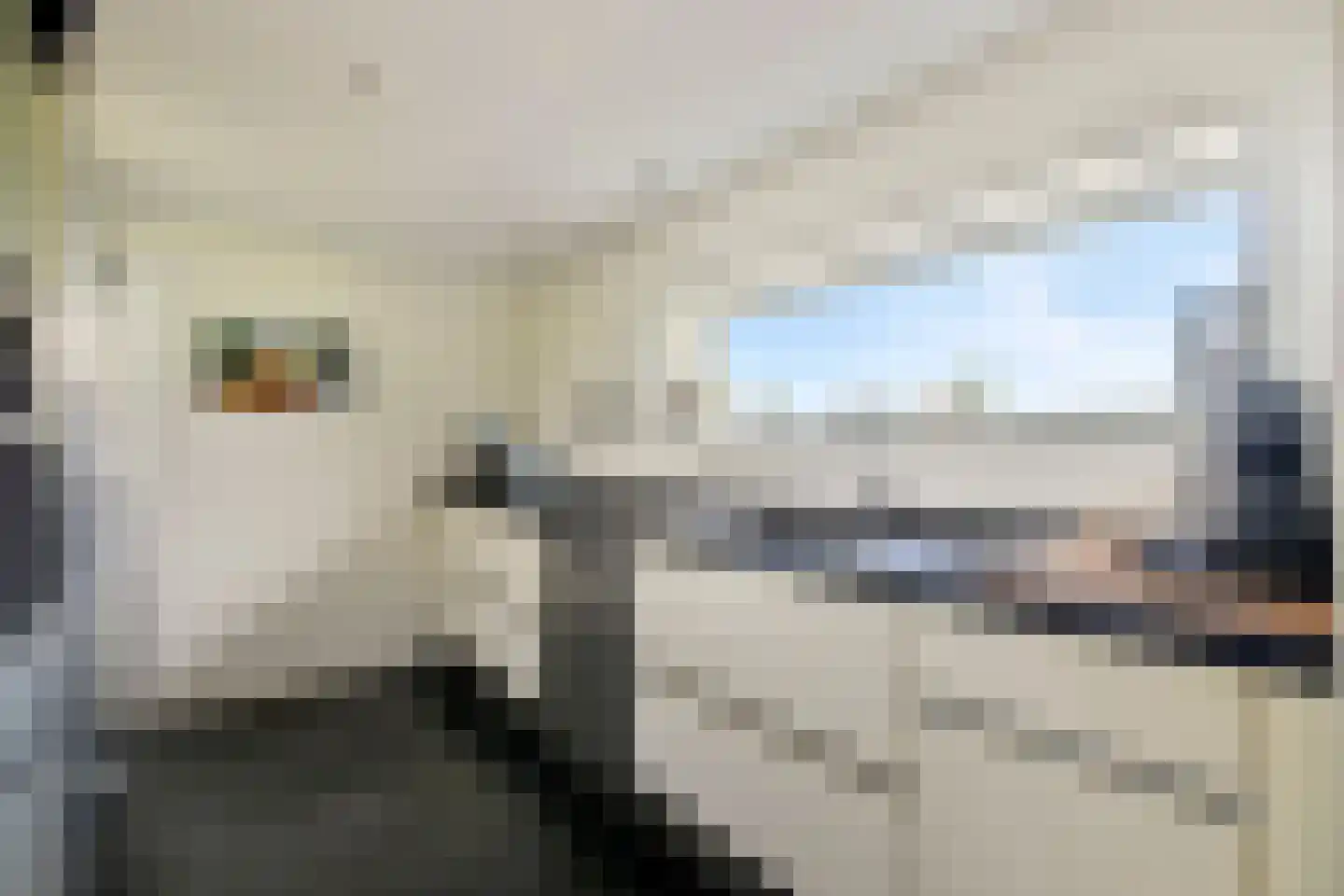 Meije 126 Bodegraven thumbnail 16