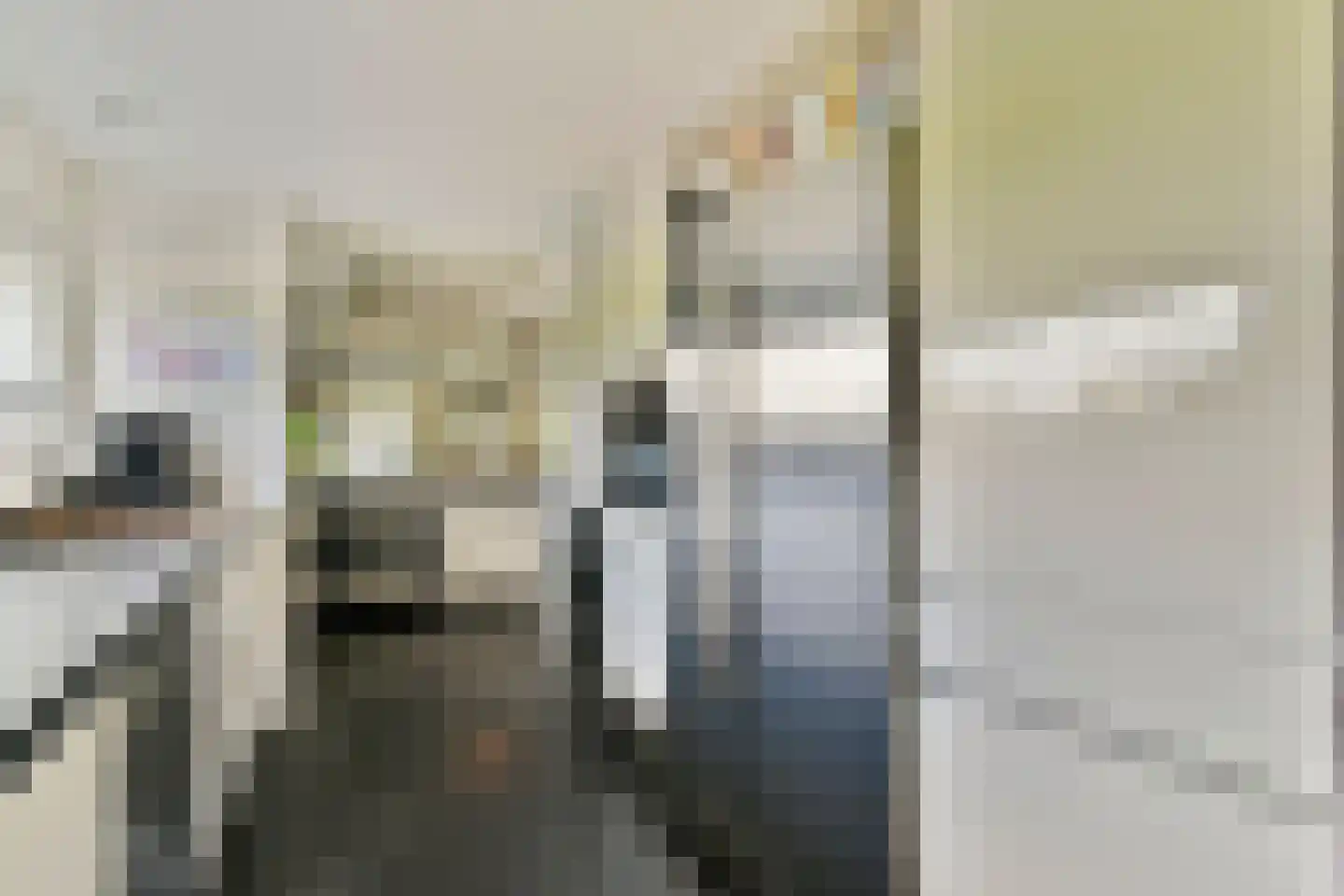 Meije 126 Bodegraven thumbnail 18