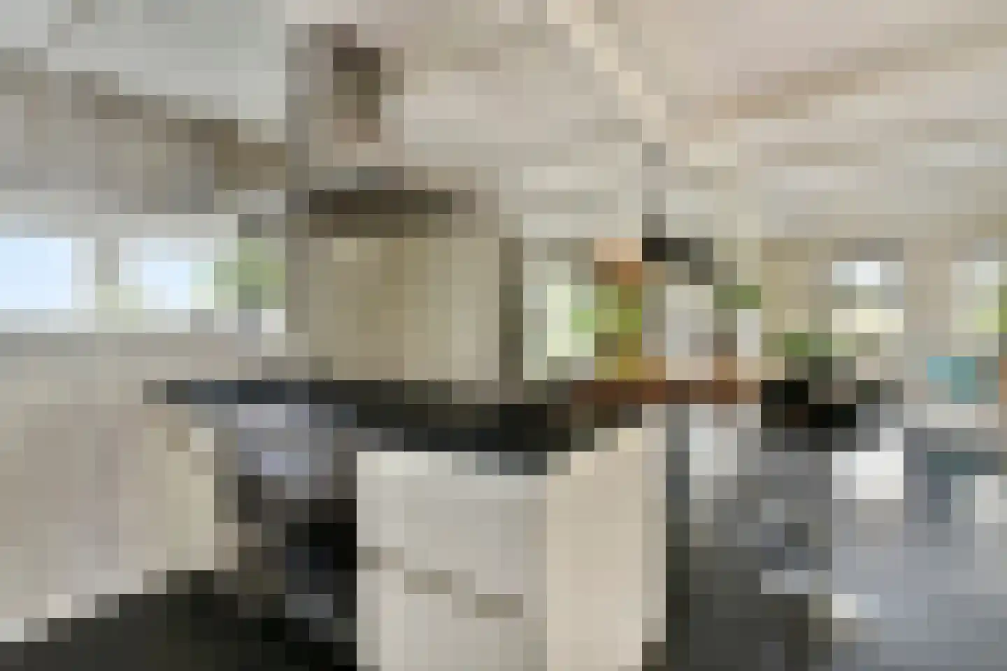 Meije 126 Bodegraven thumbnail 19