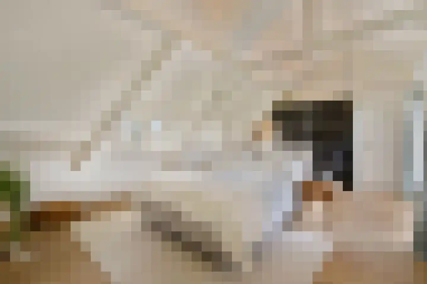 Meije 126 Bodegraven thumbnail 22